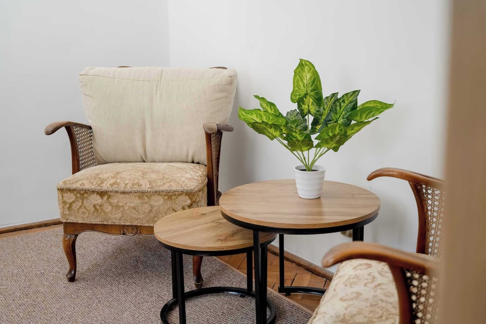 Cozy seating corner in with vintage armchairs, wooden coffee table, and green plant.