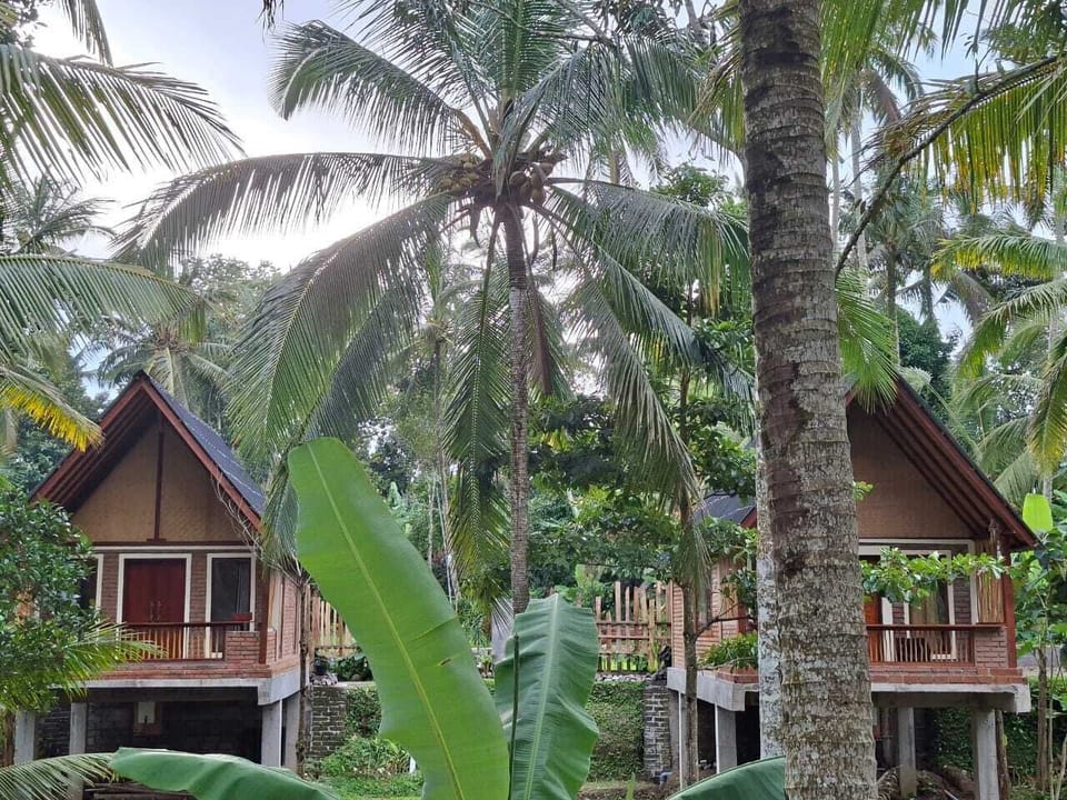 Villa | Property grounds