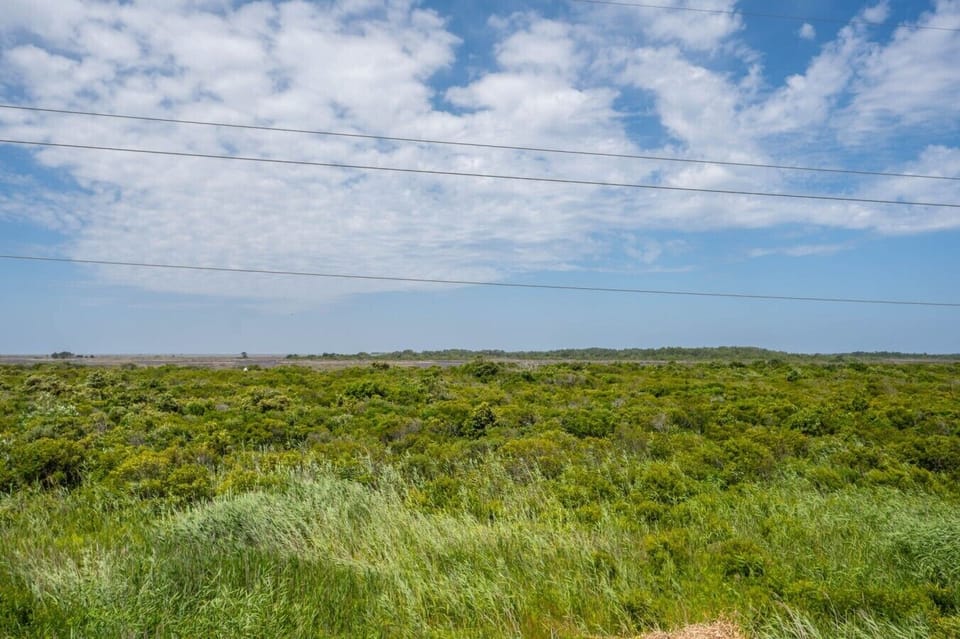 23-web-or-mls-10341-S-Colony-TL-South-Deck-View