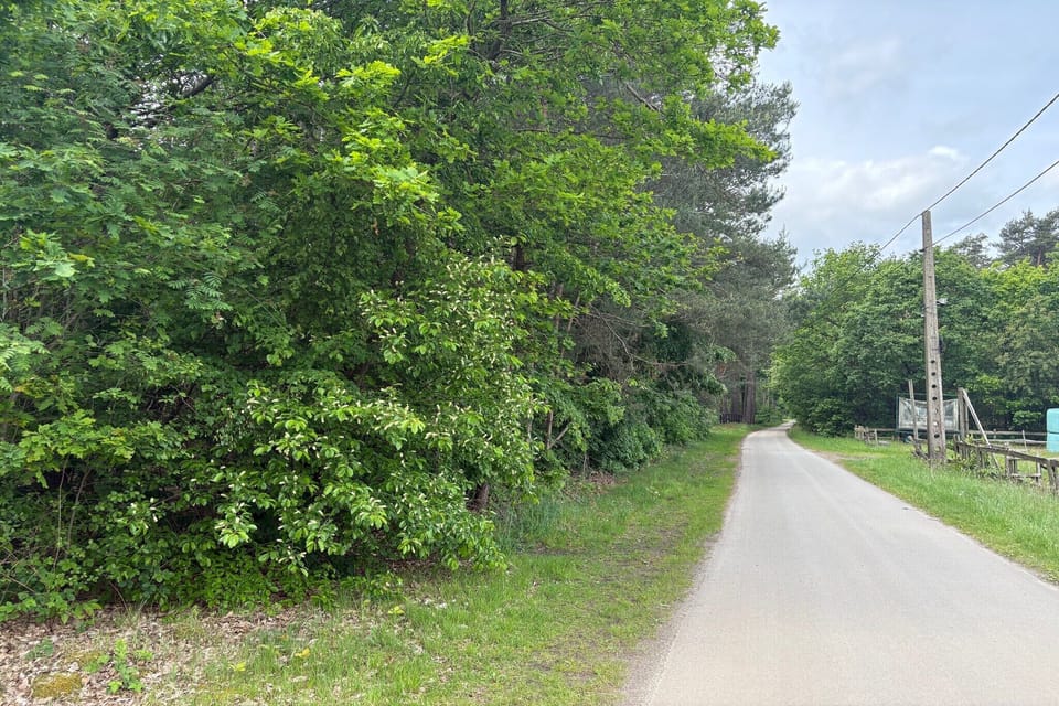 Immediate Surroundings [summer] (<1 km)
