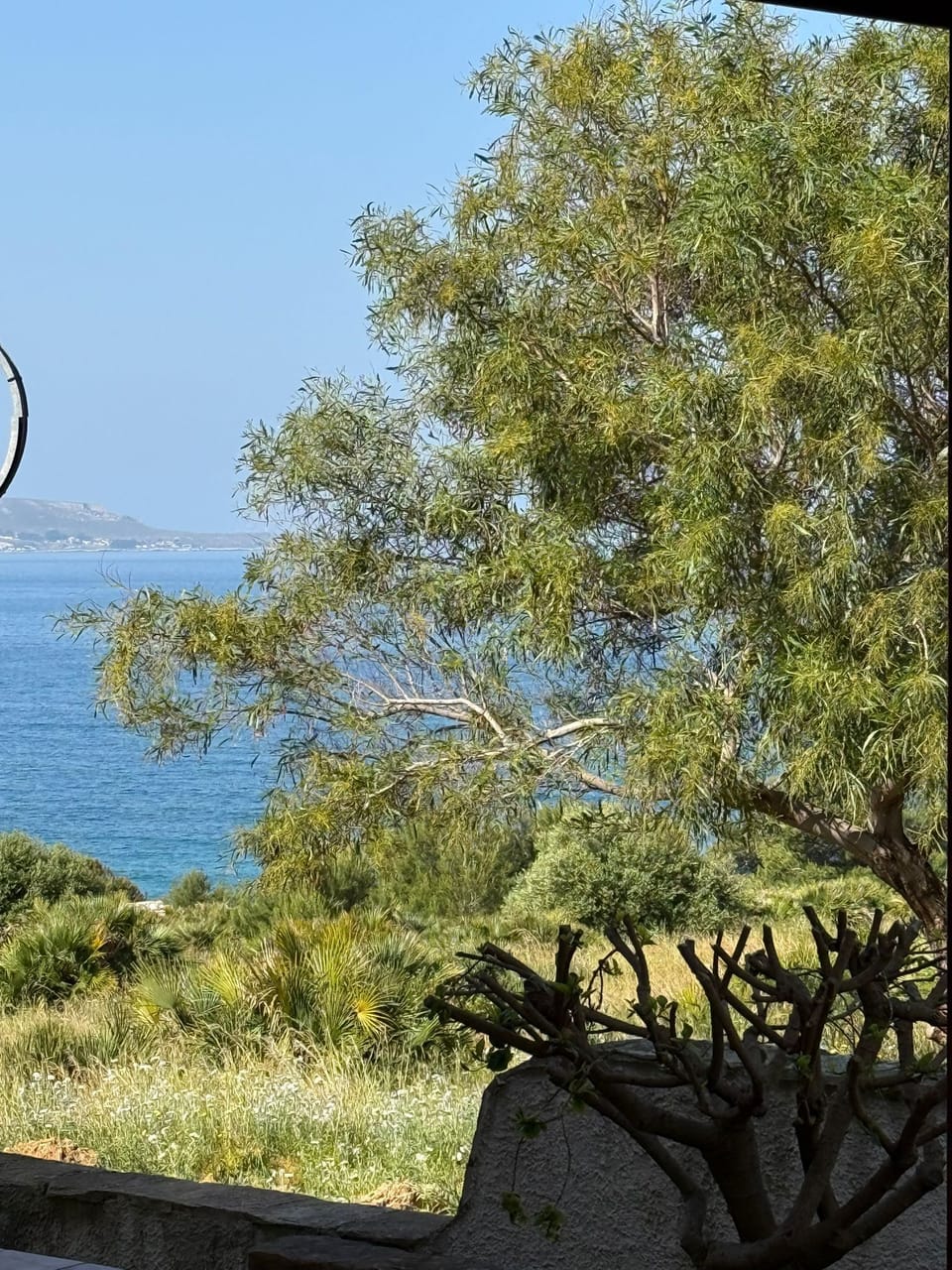 View from property