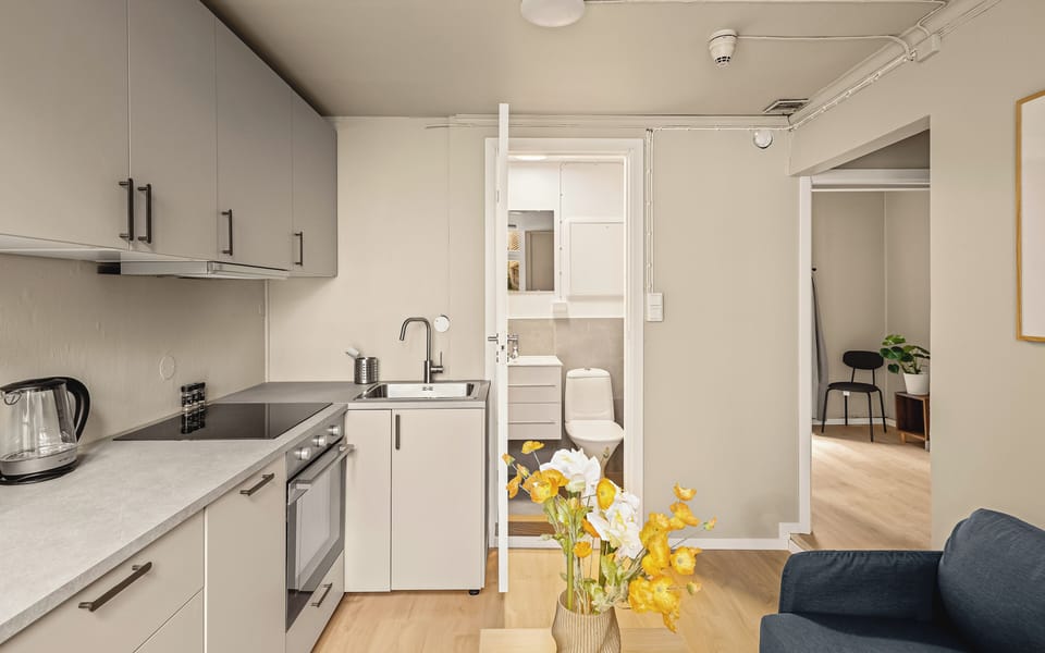 Fridge, oven, stovetop, dishwasher