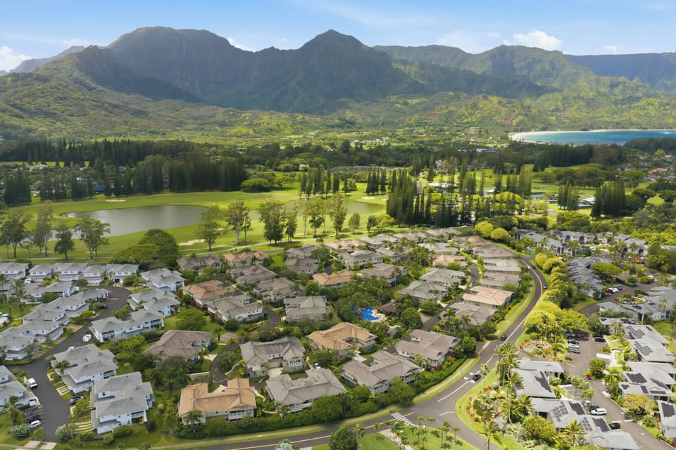 A bird's-eye view reveals the peaceful residential neighborhood surrounded by tropical beauty.