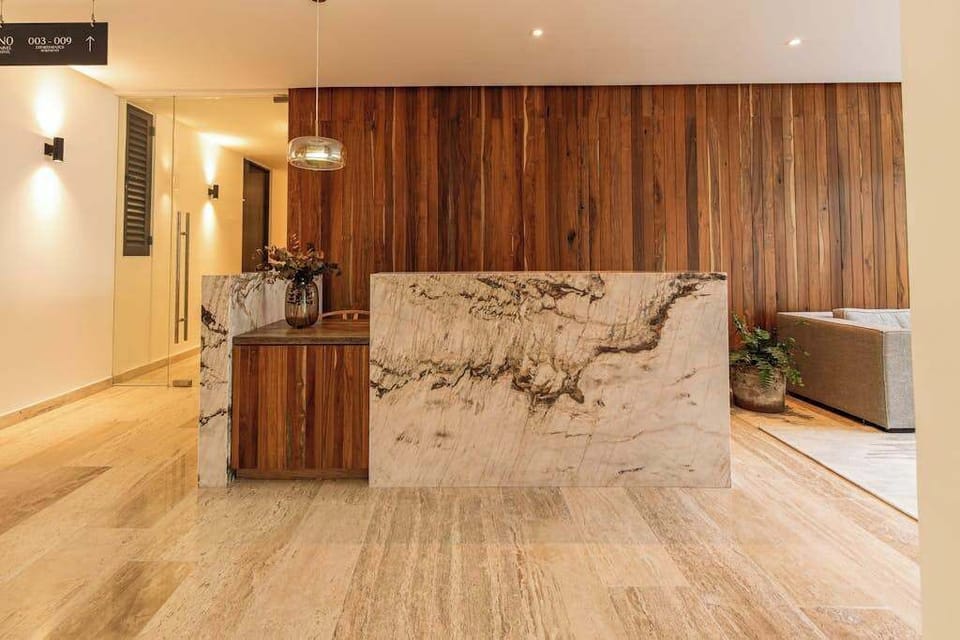 Kitchen and bar area with modern finishes