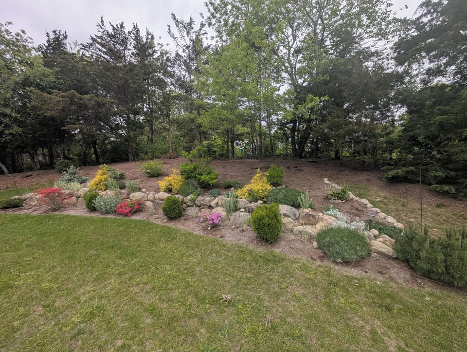 Back Garden