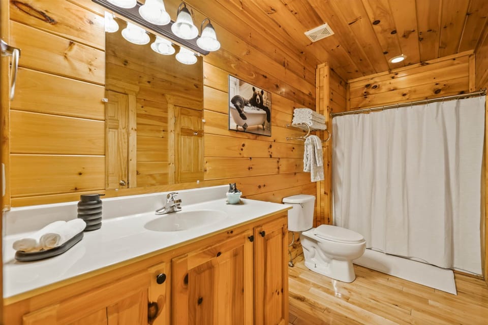 Lower Level Bathroom