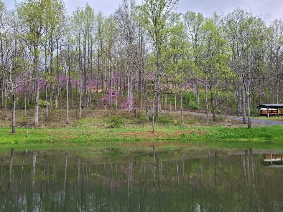 Cabin, Private Bathroom (The Pond Cabin) | Exterior