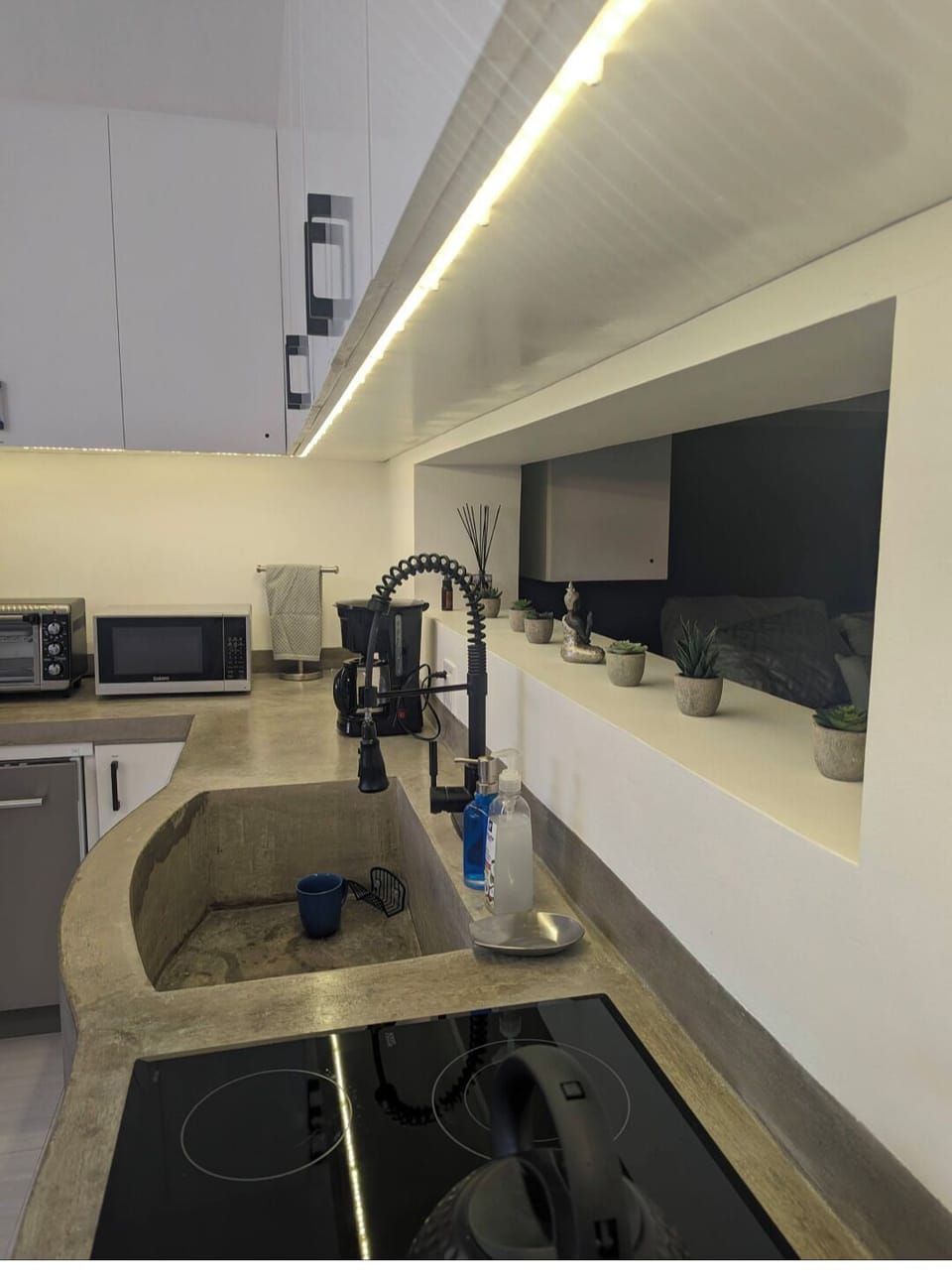Custom concrete sink and countertops with modern finishes