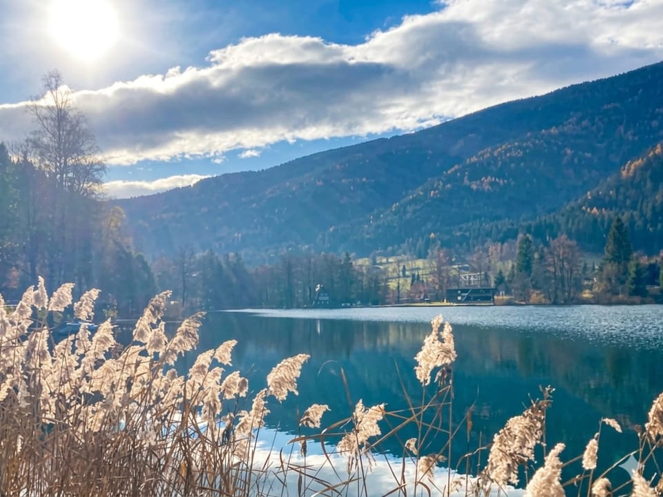 View from Holiday Home [winter]