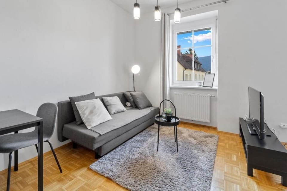 Apartment, 1 Double Bed with Sofa bed, Courtyard View | Living area | Flat-screen TV