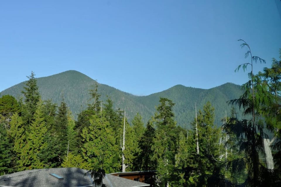 Mountain & Treetop views