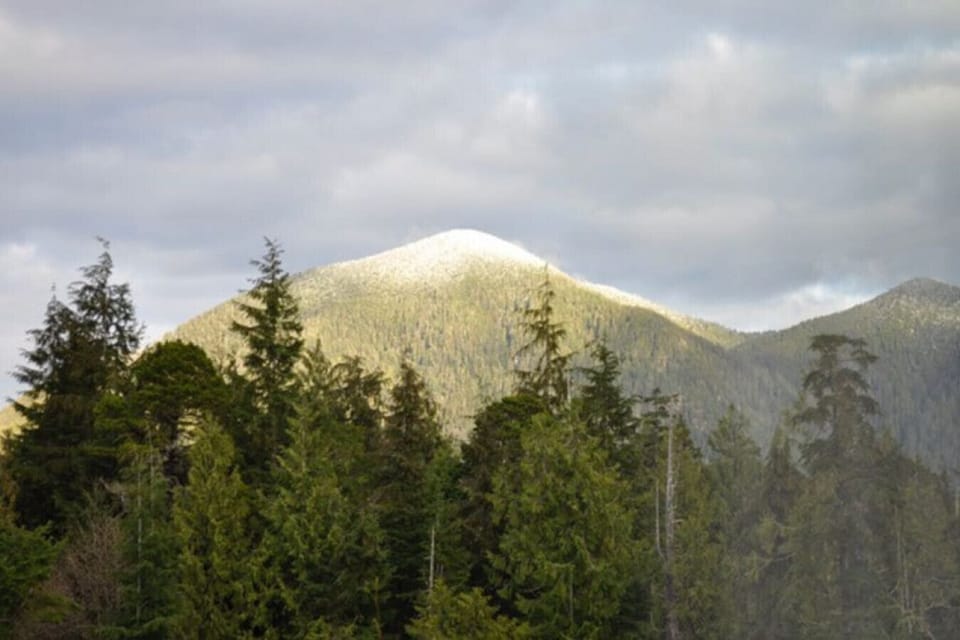 Snow on the mountain