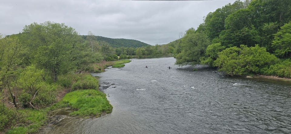 North View of West Branch from Hale Eddy Bridge