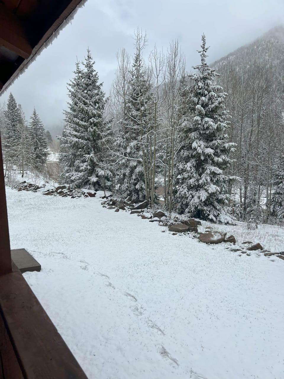 Last of Oct 2025 Snow Fall