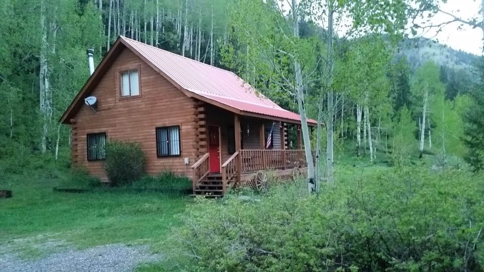 Driveway view of the Cabin