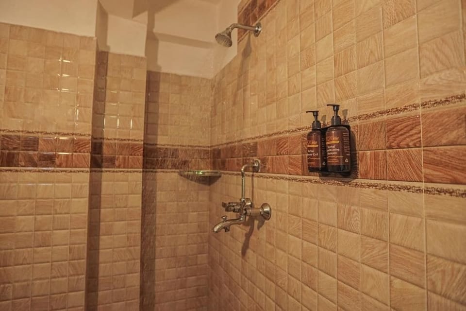Shower, free toiletries, hair dryer, slippers
