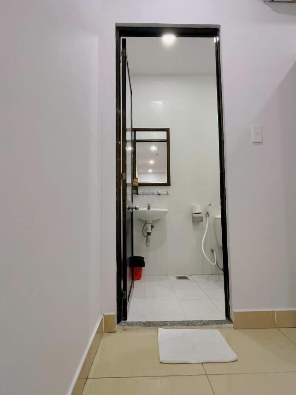 Slippers, bidet
