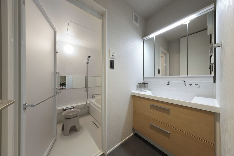 Combined shower/tub, hair dryer, towels, shampoo