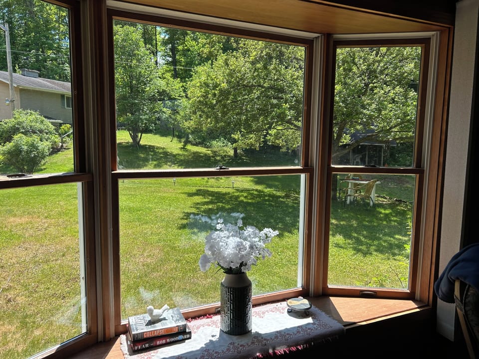 Living room window