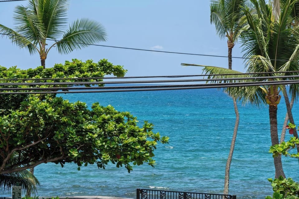 A tropical oceanfront setting framed by swaying palms and lush greenery, showcasing the vibrant turquoise waters just steps from the property.