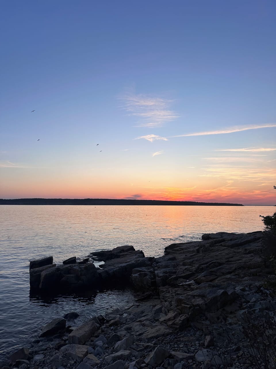 Schoodic Point