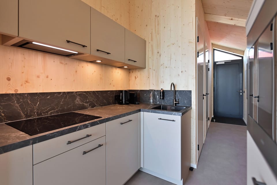 Family Cabin | Private kitchen | Coffee/tea maker, fridge, microwave, oven
