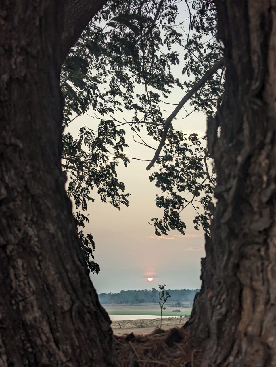 View from property