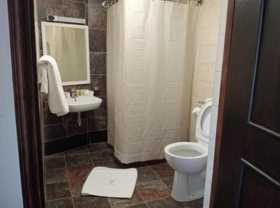 Shower, towels, soap, toilet paper