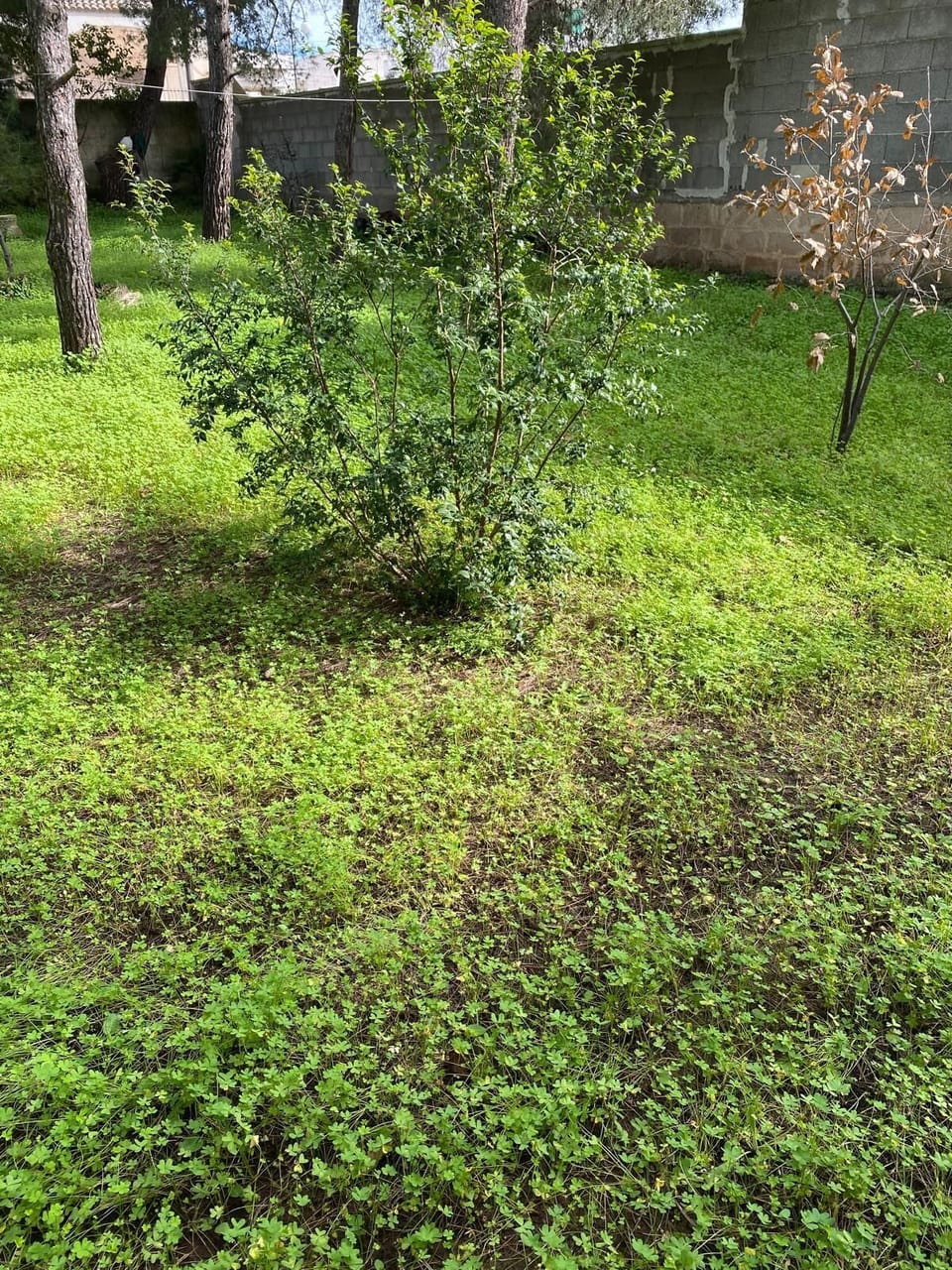 Property grounds