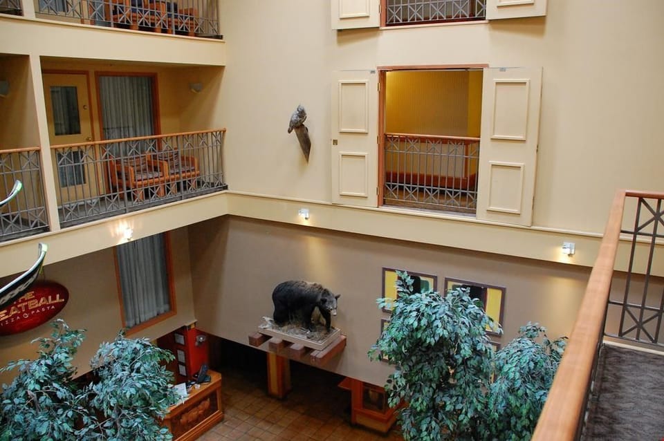 A multi-level hotel, enjoy the beautiful touches inspired by the Rocky Mountain landscape.