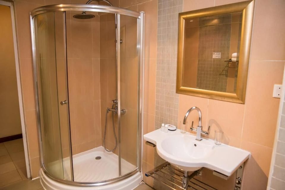 Shower, free toiletries, hair dryer (on request), bathrobes