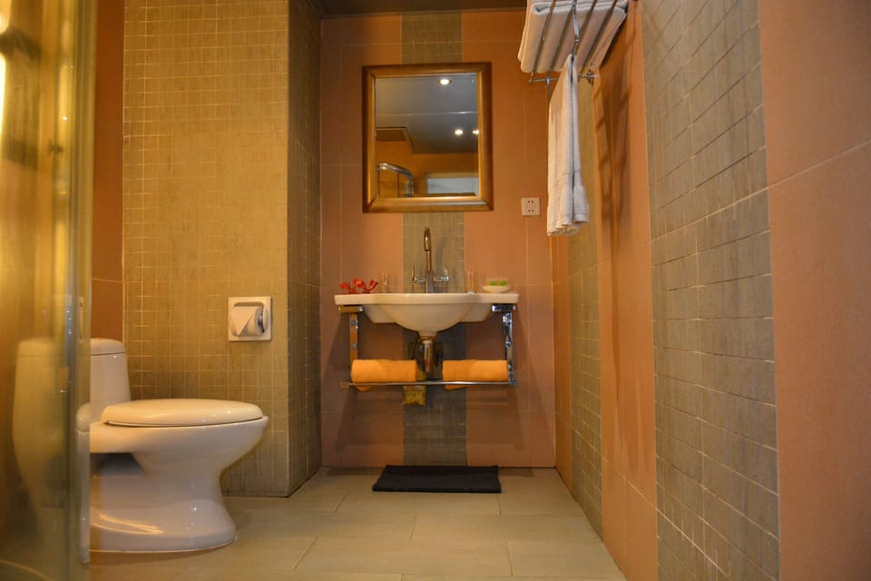 Shower, free toiletries, hair dryer (on request), bathrobes