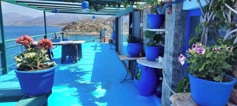 The terrace in blue and green