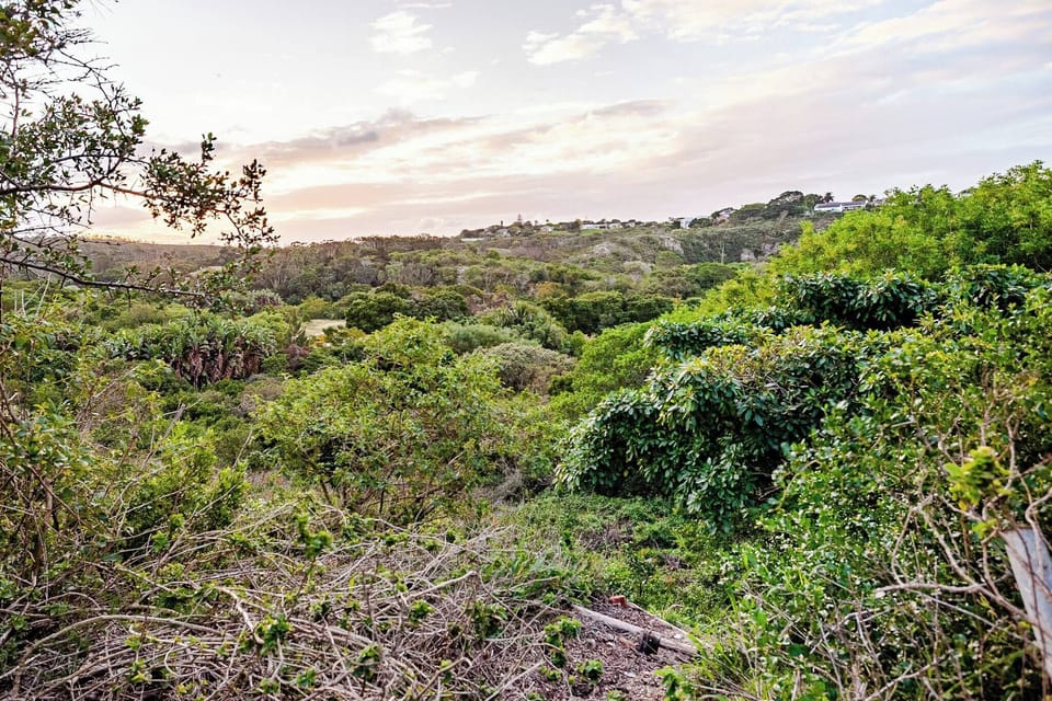 Apartment, 1 Bedroom, Smoking, Patio | Miscellaneous