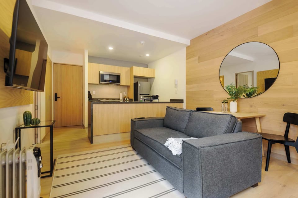 Open layout combining the living room, bedroom, and kitchen.
