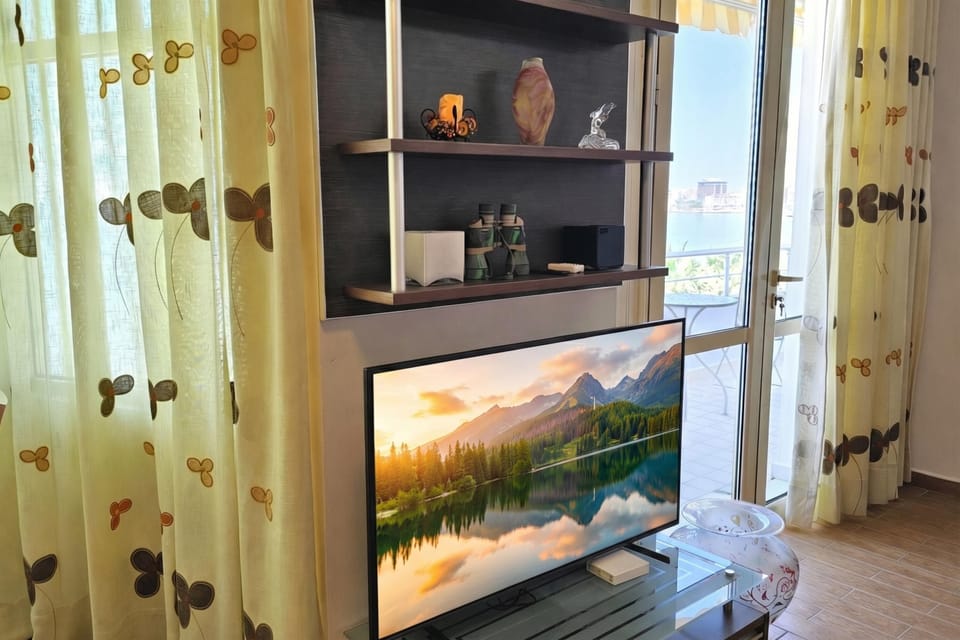 Television