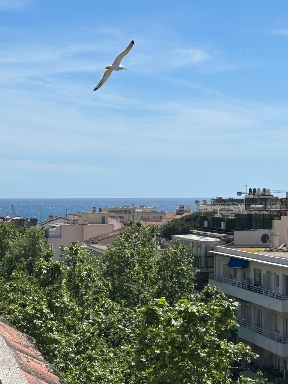 View from property