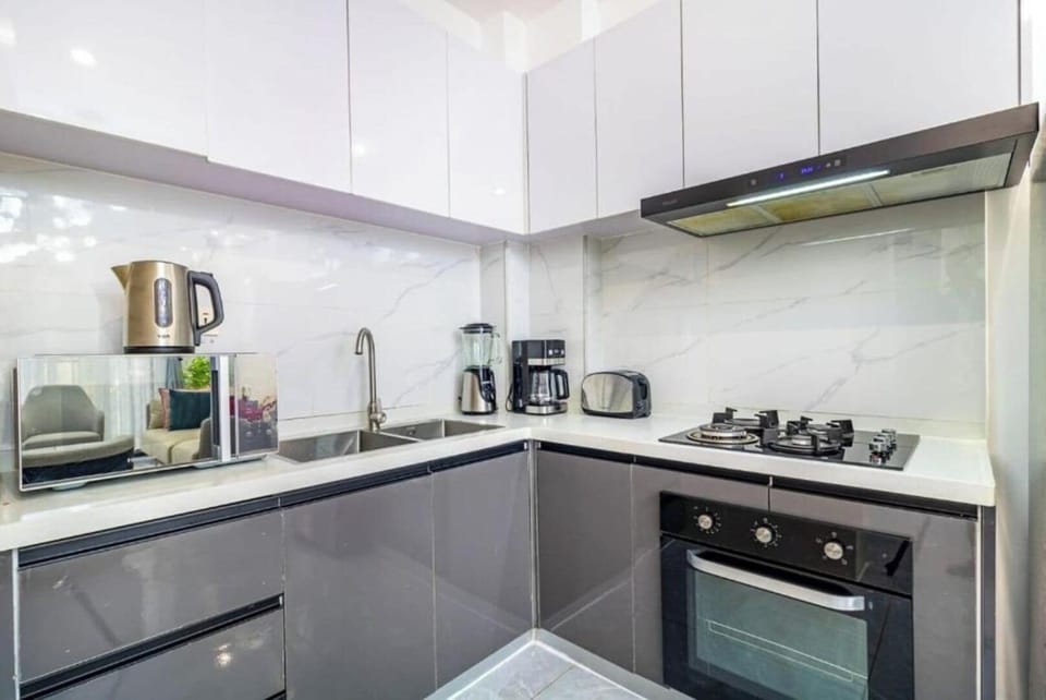 Deluxe Apartment | Private kitchen
