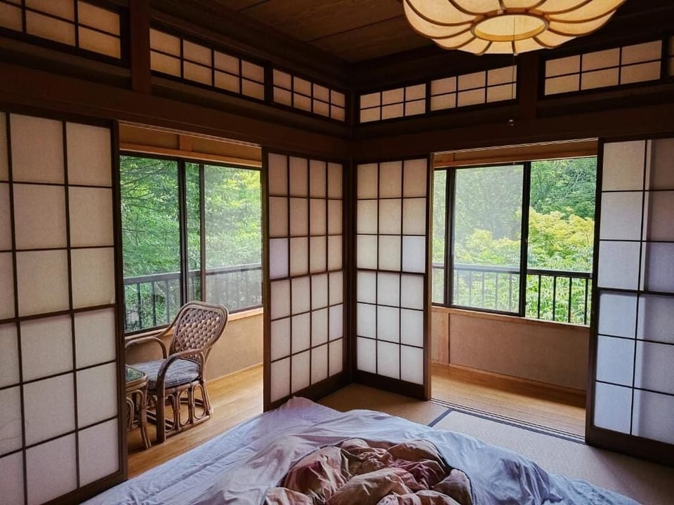 Blackout drapes, iron/ironing board, free WiFi, bed sheets