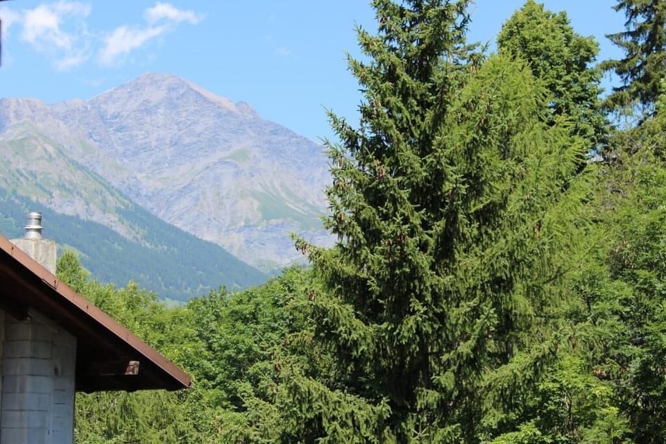 Classic Quadruple Room, Balcony, Garden View | View from room