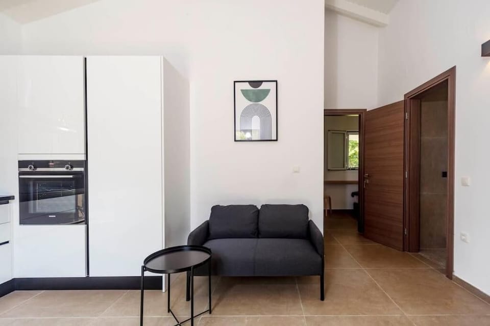 Apartment, Balcony, Courtyard View | Living area | Flat-screen TV