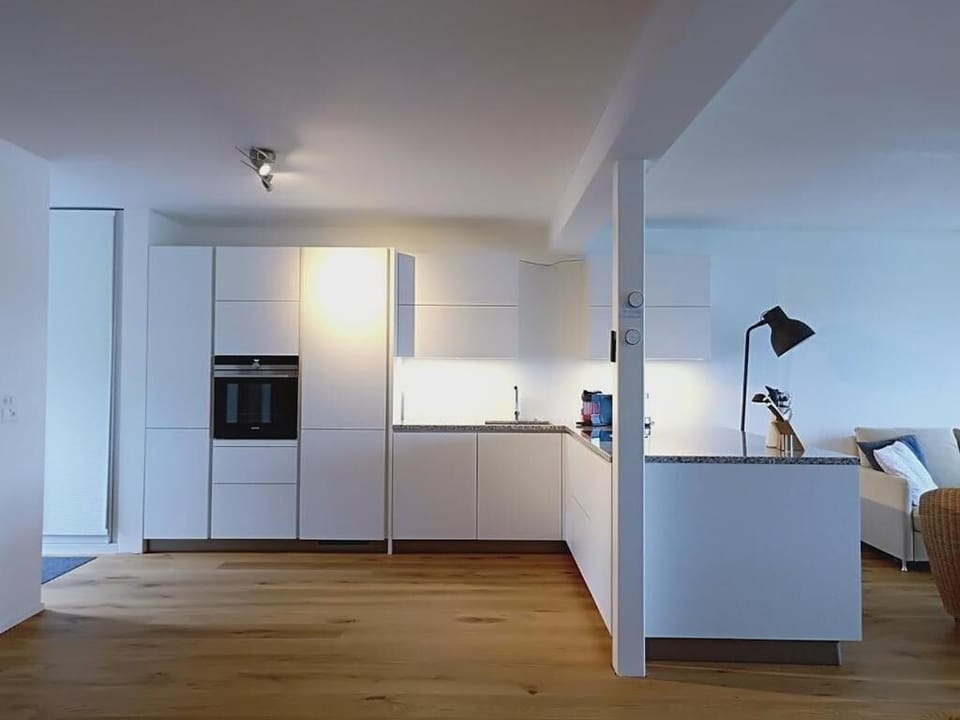 Luxury Apartment, Lake View | Private kitchen | Fridge, microwave, oven, stovetop
