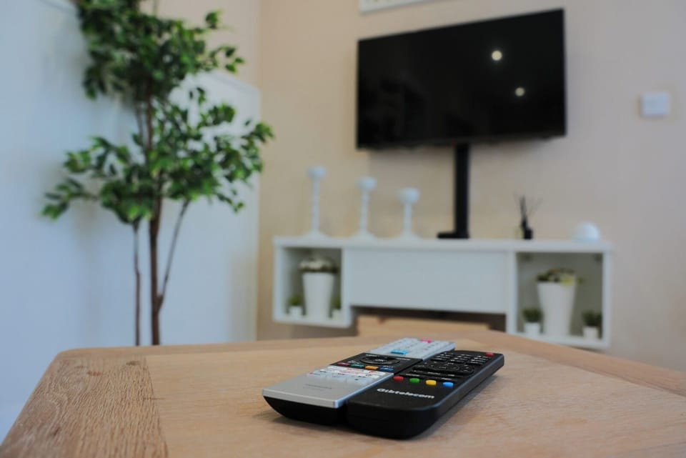 Television