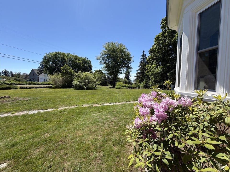 Front Yard