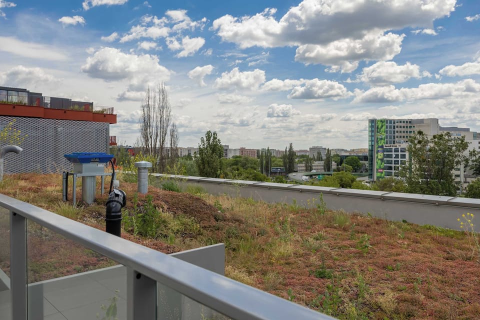 A view from the building's edge reveals a lower roof covered with green sedum vegetation. In the distance, urban structures and power lines stand against a bright summer sky.
