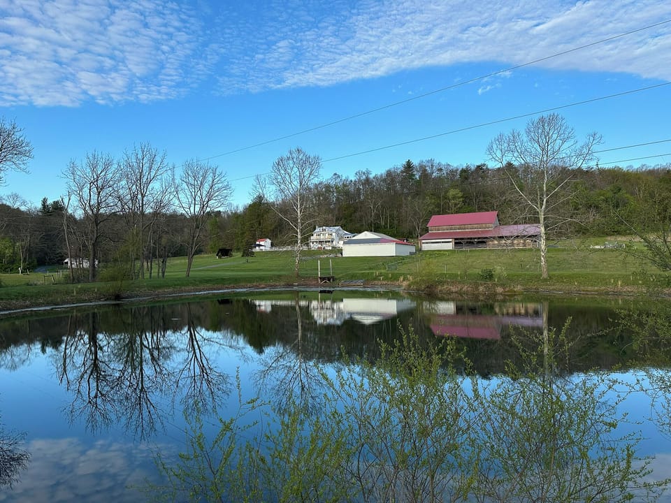 pond