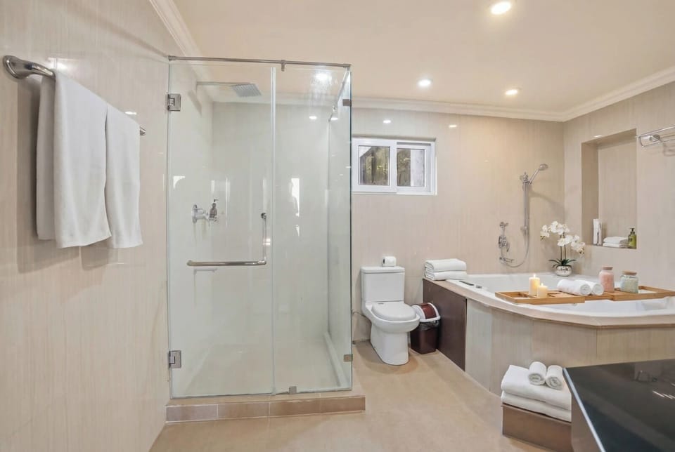 Shower, towels, soap, shampoo