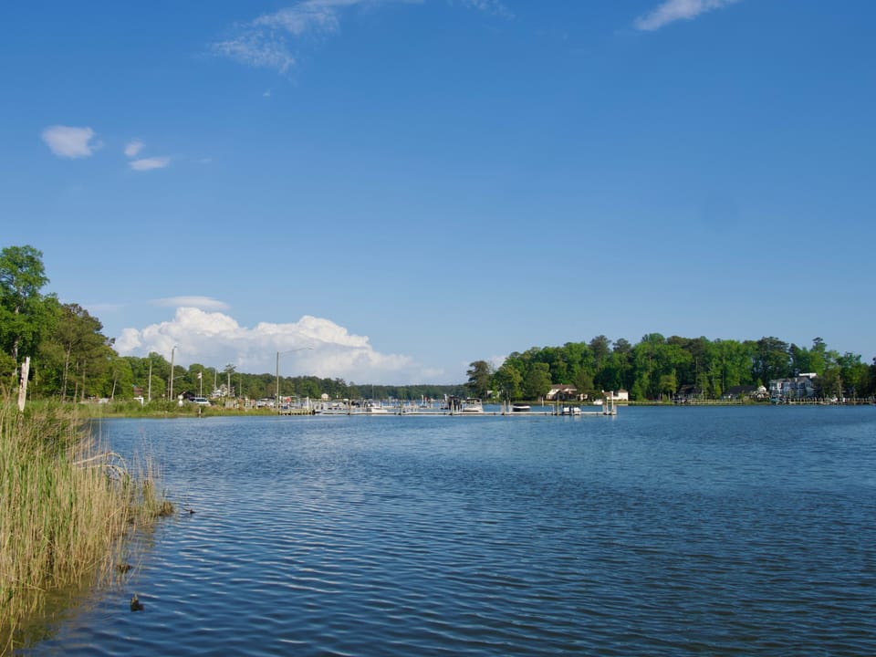 View of Burton Prong from the marina