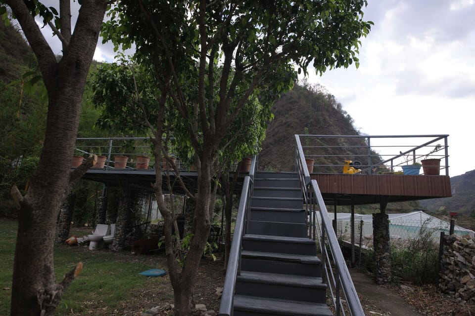 House | Property grounds