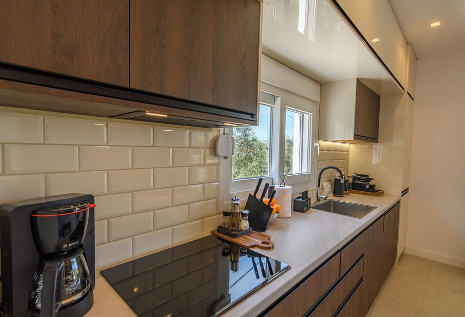 Panoramic Villa, 3 Bedrooms, Sea View | Private kitchen | Full-size fridge, microwave, oven, stovetop